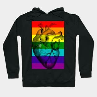 Gay Pride Anatomic Heart Hoodie